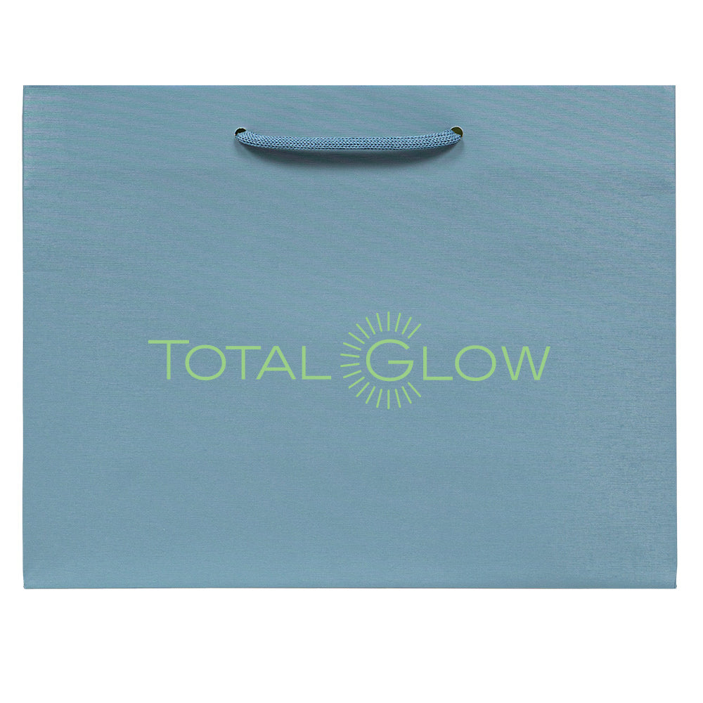 Premium Pastle Blue Paper Eurototes -Medium 13"x5"x10"