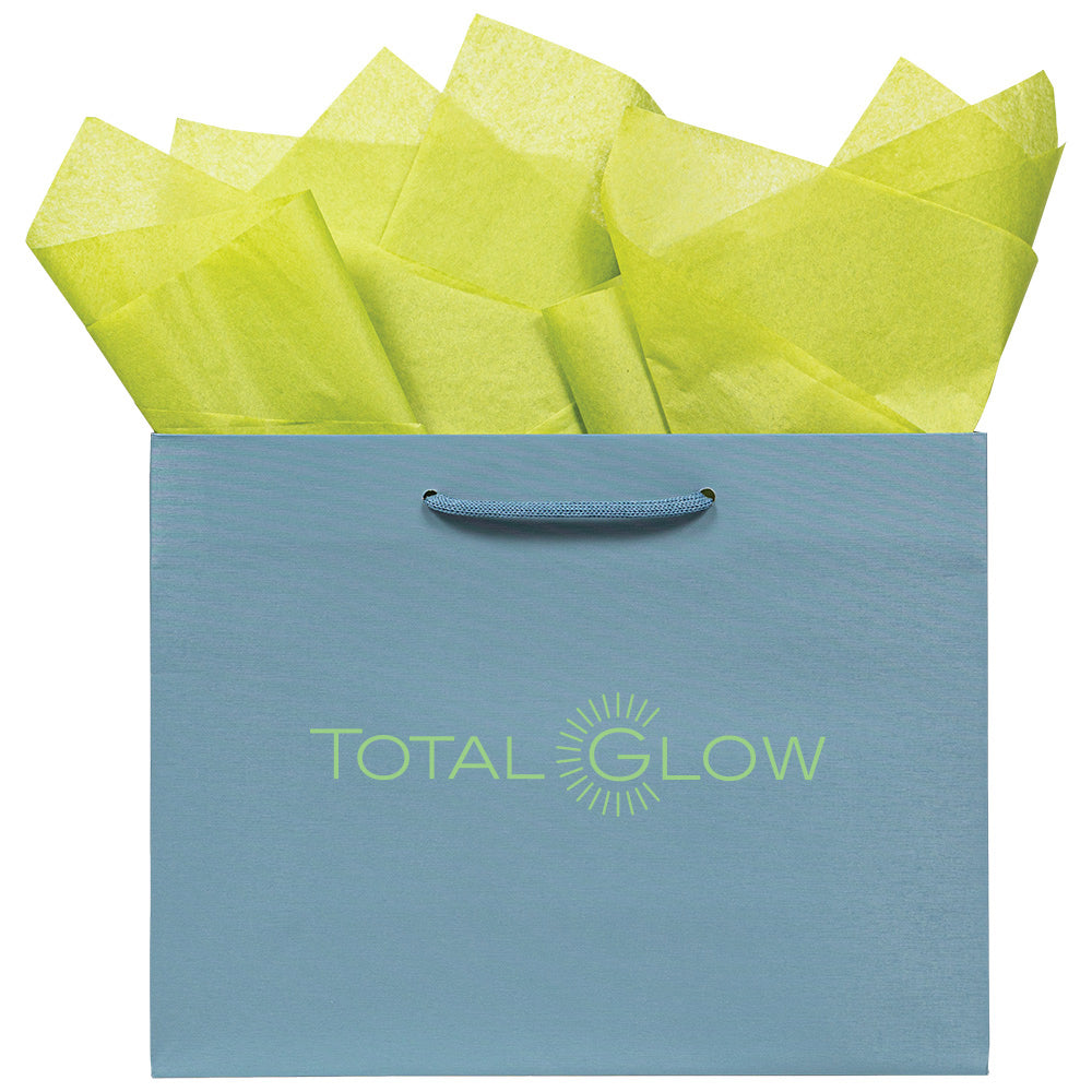 Premium Pastle Blue Paper Eurototes -Medium 13"x5"x10"