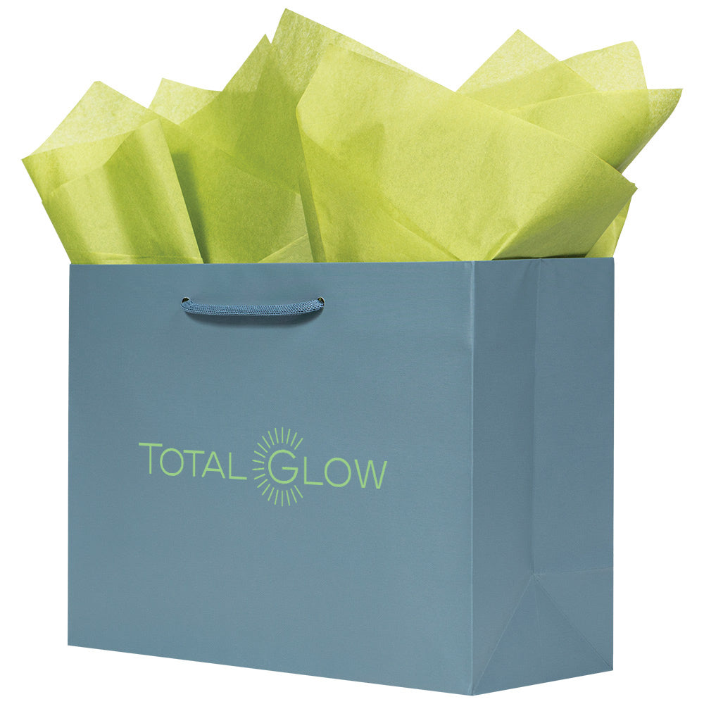 Premium Pastle Blue Paper Eurototes -Medium 13"x5"x10"