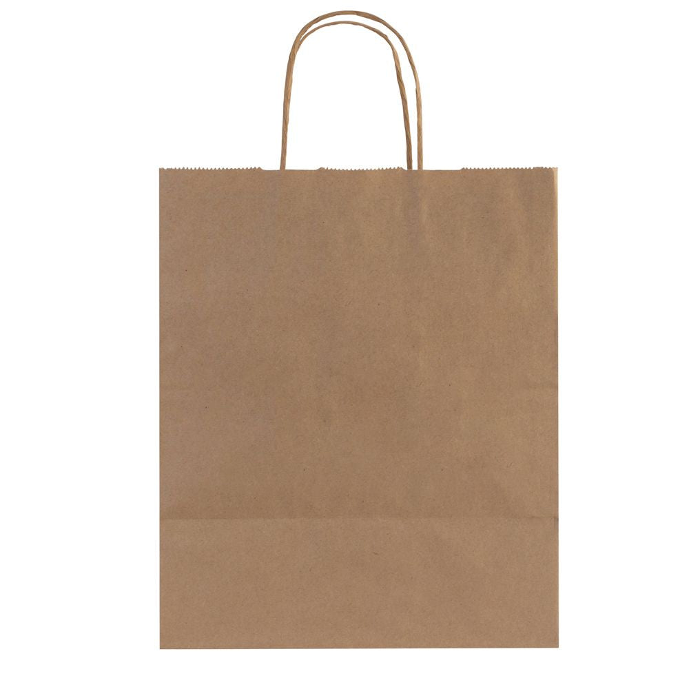 Brown Kraft Paper Shopping Bags with Handles