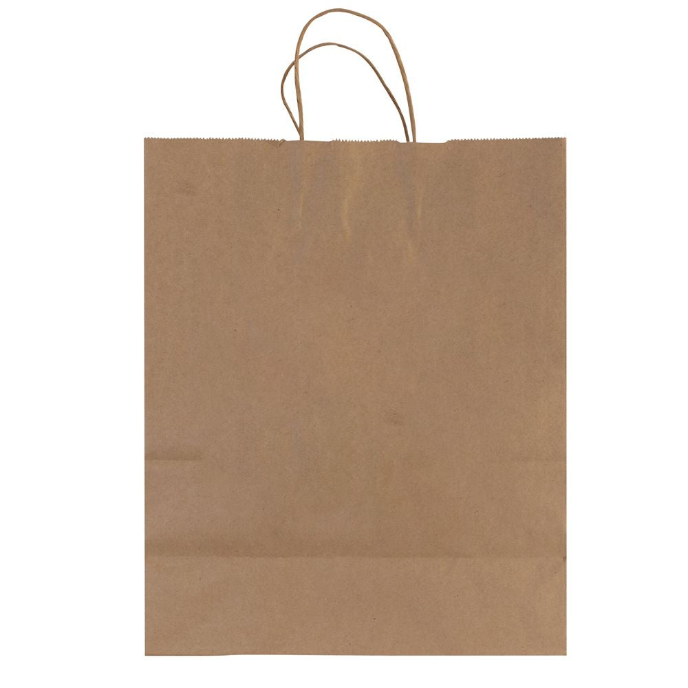 Large Brown Kraft Paper Shopping Bags
