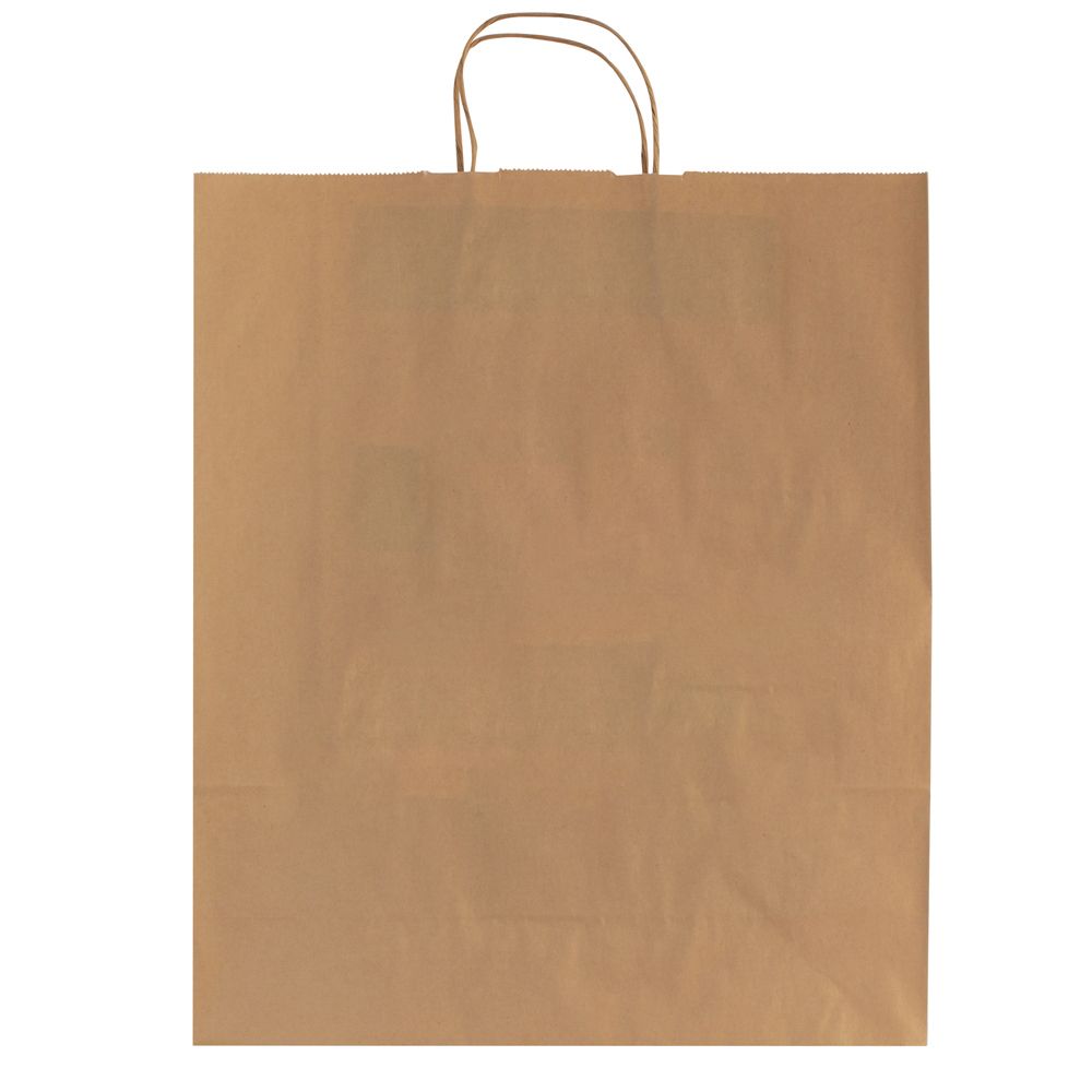 Large Brown Paper Kraft Shopping Bags with Handles