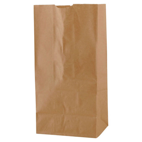SOS Kraft Paper Bag 6.125 "x 4" x 12.375"