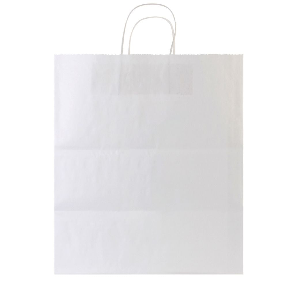 Large White Kraft Gift Shopping Bags with Handles