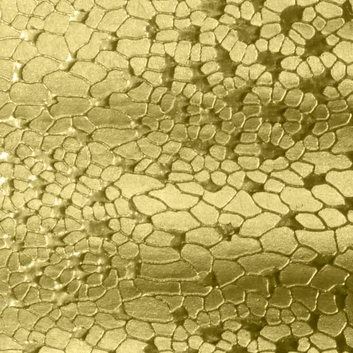 Gold Foil Cotton Filled Jewelry Gift Boxes #21