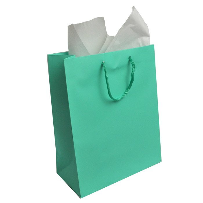 Aqua Tote Gift Shopping Bags, 8" x 4" x 10"