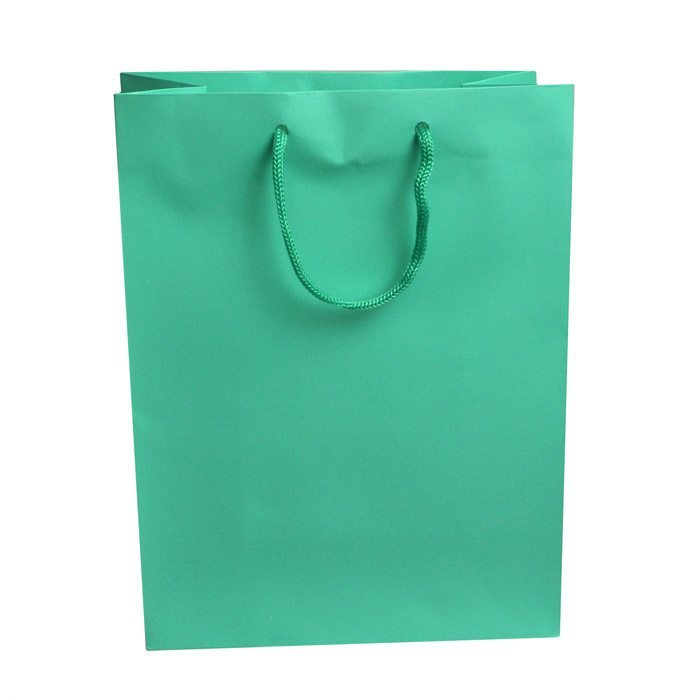 Aqua Tote Gift Shopping Bags, 8" x 4" x 10"