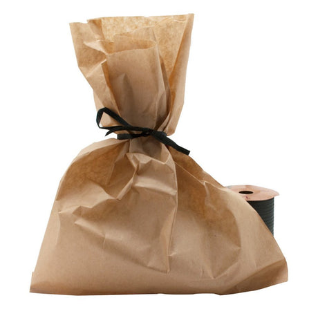 Brown Kraft Paper Gift Shopping Bags, 100 Per Pack, 8-1/2" x 11"