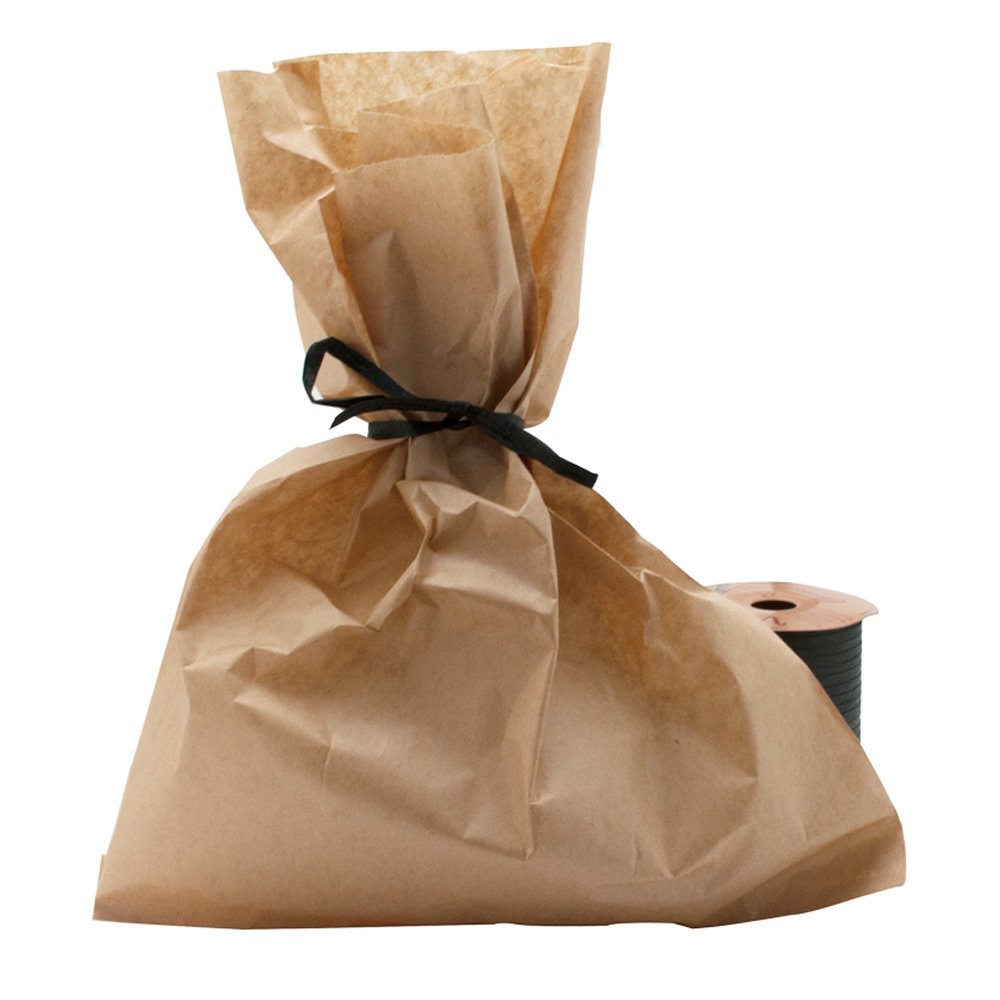Brown Kraft Paper Gift Shopping Bags, 100 Per Pack, 10" x 13"