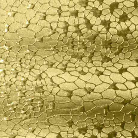 Gold Foil Cotton Filled Jewelry Gift Boxes #53