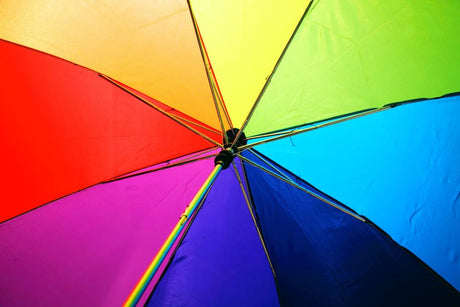 See Past Simple Colors – Explore Color Theory