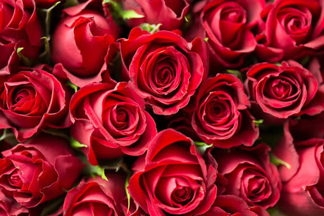 Fun Facts Edition: The Heartfelt History of Valentine's Day Gifts