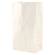SOS White Paper Bag  6 "x 3.625" x 11"
