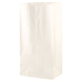 SOS White Paper Bag 6.125 "x 4" x 12.375"