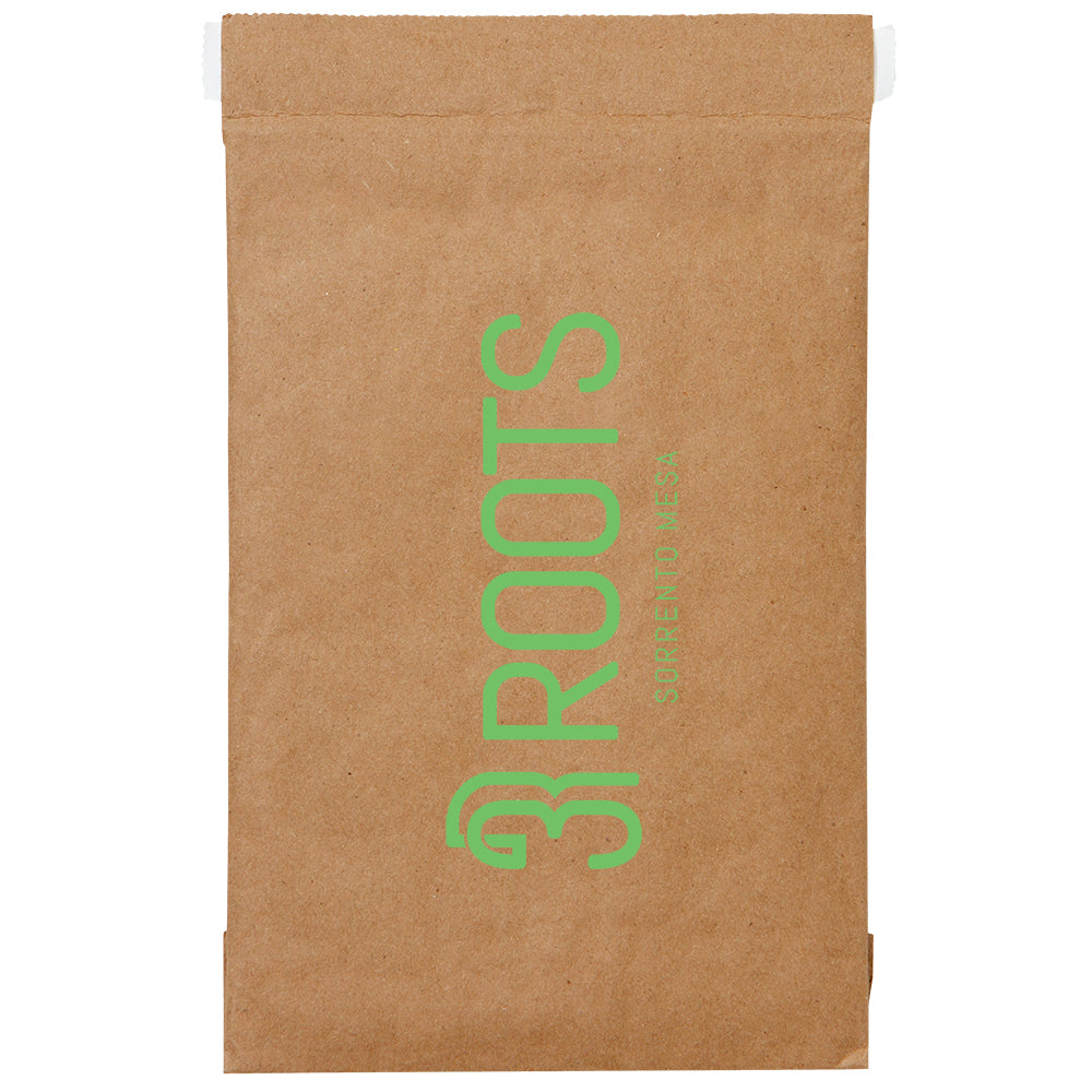 Printed Brown Kraft Padded Shipping Mailer