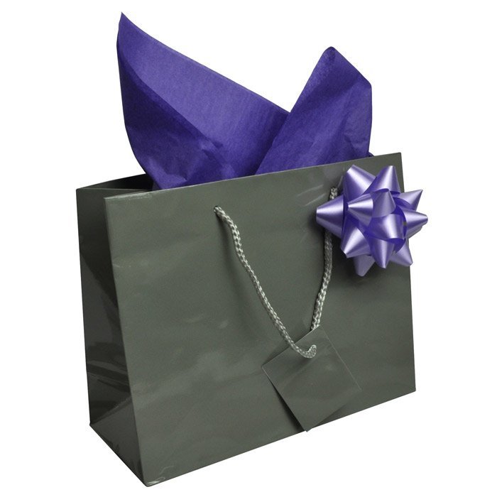 Glossy Grey Euro Tote Gift Shopping Bags, 9-1/2" x 4" x 7-1/2"