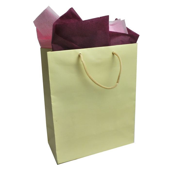 Ivory Tote Gift Shopping Bags, 8" x 4" x 10"