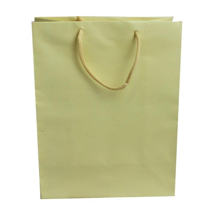 Ivory Tote Gift Shopping Bags, 8" x 4" x 10"