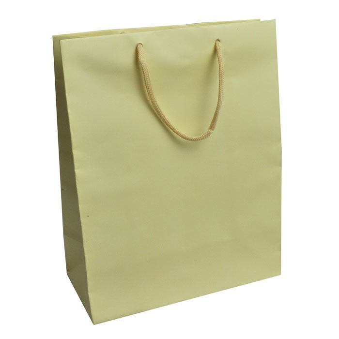 Ivory Tote Gift Shopping Bags, 8" x 4" x 10"
