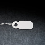 Waterproof Pricing Tag with String