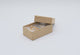 Brown Kraft Paper Cotton Filled Jewelry Gift Boxes #21